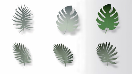 Realistic transparent shadow from a leaf of a palm tree on the white background. Tropical leaves shadow. Mockup with palm leaves shadow.