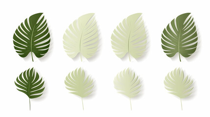 Fototapeta premium Realistic transparent shadow from a leaf of a palm tree on the white background. Tropical leaves shadow. Mockup with palm leaves shadow.