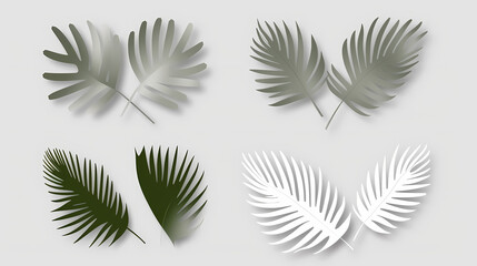 Realistic transparent shadow from a leaf of a palm tree on the white background. Tropical leaves shadow. Mockup with palm leaves shadow.
