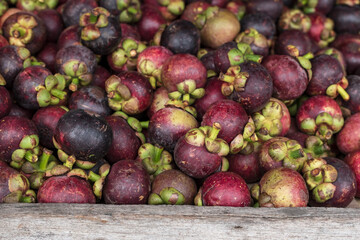 Close up of Mangosteen (Garcinia mangostana)