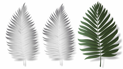 Fototapeta premium Realistic transparent shadow from a leaf of a palm tree on the white background. Tropical leaves shadow. Mockup with palm leaves shadow.