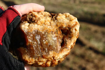 Raw unprocessed agate in hand, searching for stones and minerals