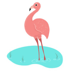 Flamingo standing in a water, vector illustration