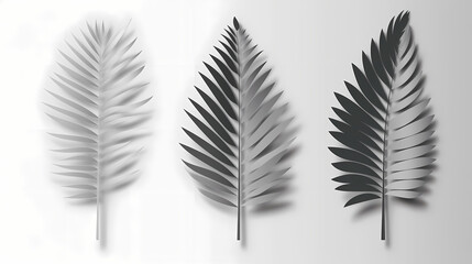 Fototapeta premium Realistic transparent shadow from a leaf of a palm tree on the white background. Tropical leaves shadow. Mockup with palm leaves shadow.