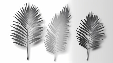 Obraz premium Realistic transparent shadow from a leaf of a palm tree on the white background. Tropical leaves shadow. Mockup with palm leaves shadow.