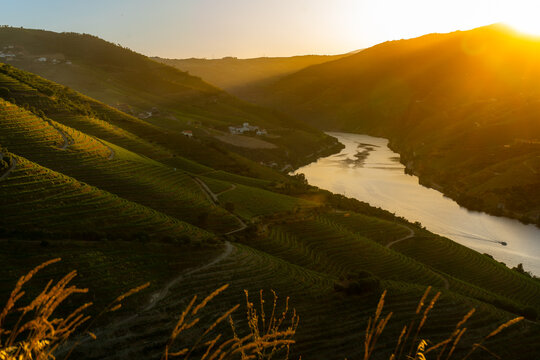 Sunset over ancient terraced vineyards in the romantic Douro Valley near the village of Pinh&atilde;o, a World Heritage Site