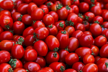 Close-up view of ripe red tomatoes Pile of plum tomatoes washed to be canned during the height of the summer tomato season.