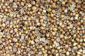 Coriander seeds as background