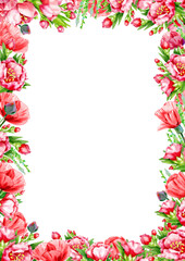 Red roses  flowers foral frame  isolated. Floral border.  Floral card. Watercolor illustration.