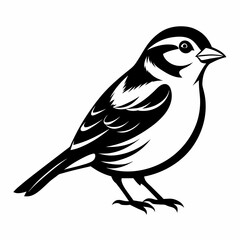Obraz premium Solid black outline Chipping Sparrow animal vector svg