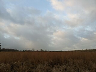A dry grass field in the fall near a forest with clouds above during sunset