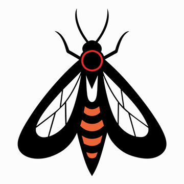 black moth with orange stripes clip art preview