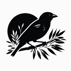 bird vector silhouette illustration