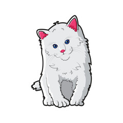 cute white kitten vector design