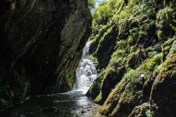 summer panoramic landscape of mountains and forest and waterfall against the sky in the area of ​​Lake Teletskoye in Altai