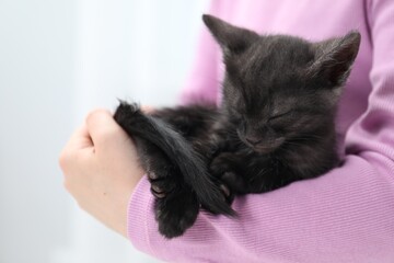 Little girl with cute fluffy kitten indoors, closeup