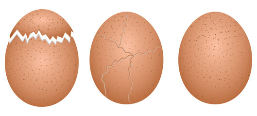 egg vector set. whole broken and cracked eggs vector illustration isolated on white background.