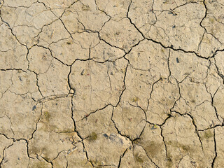 Cracked Earth Close-Up Background Top view