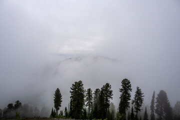 summer panoramic landscape of mountains and forests and lakes against the sky in the area of ​​Lake Teletskoye in Altai