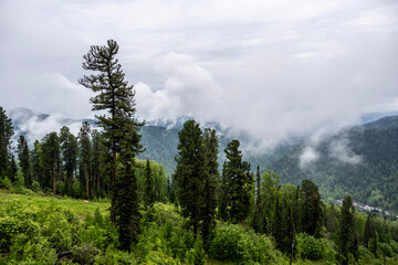 summer panoramic landscape of mountains and forests and lakes against the sky in the area of ​​Lake Teletskoye in Altai