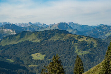 Mountain peaks with pine trees in the south German Alps near Oberstdorf