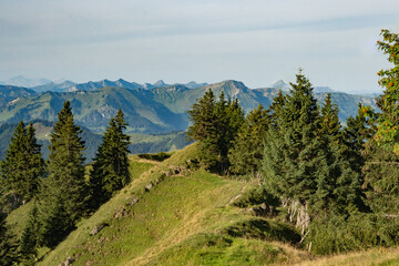 Obraz premium Mountain peaks with pine trees in the south German Alps near Oberstdorf