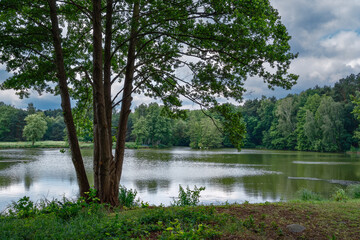 Überreste eines ehemaligen Torfstichs: der 
