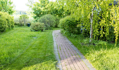 A brick path winds through a lush green garden, bordered by tall trees and vibrant foliage. Sunlight peeks through the leaves, illuminating the path ahead.