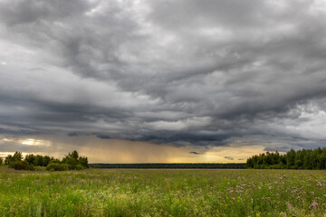 A picturesque scene of a vast, green field under a dramatic, stormy sky. The approaching storm casts a dark, ominous shadow over the landscape, while the sun still peeks through the clouds