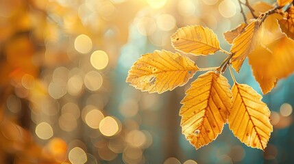 Obraz premium Autumn Leaves in Yellow Hues Create a Seasonal Bokeh Background