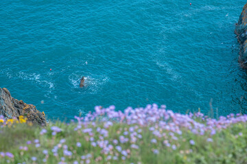 Dublin, Ireland - seaside under blue sky and white clouds