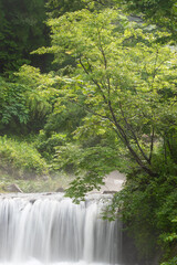 waterfall in the forest