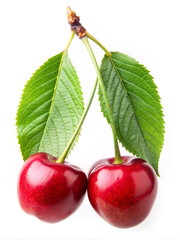 cherry on a white background