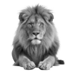 Retro halftone collage elements, halftone effect design, lion retro design  © N2