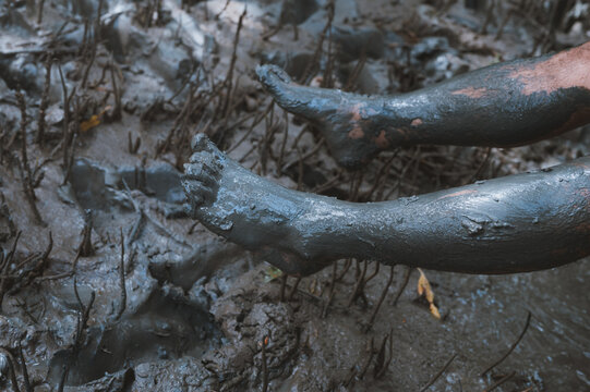Feet and legs covered with mud It appears to be in a muddy, swamp-like environment with roots or branches sticking out. The mud will look wet and sticky to the skin.