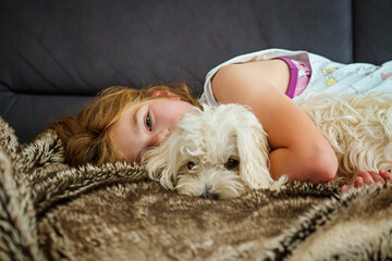 Little girl playing with her pet dog Maltese at home. Happy child and cute puppy. Love, friendship, family animal.