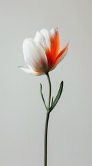 Side view illustration of flower. Beige space to enhance the minimalist aesthetic