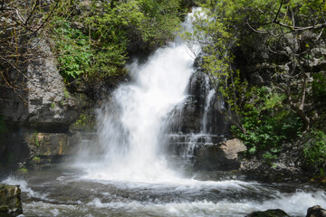 Obraz premium Waterfall in forest. Hight waterfall. Watery waterfall. Tropical forest and tall waterfall wall art. Deep forest and river