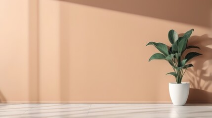 Organic drop shadow on a white wall, overlay effect for photo, mock-ups, posters, stationary, wall art, design presentation. Background with shadow