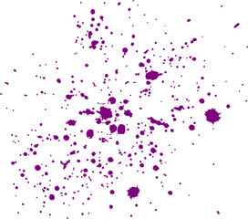 Purple Color Paint Splatter	
