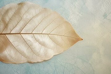 leaf on the wall made by midjourney