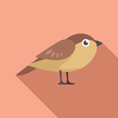 Small brown bird standing on pink background with long shadow