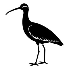 curlew silhouette vector illustration