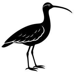 Fototapeta premium curlew silhouette vector illustration