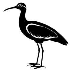 curlew silhouette vector illustration