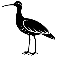 curlew silhouette vector illustration