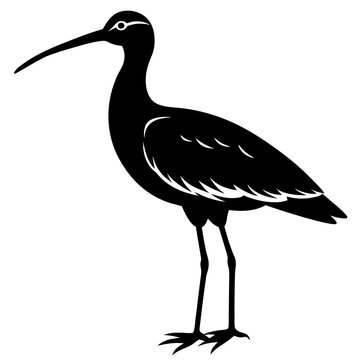 recommend clip art: curlew silhouette vector illustration