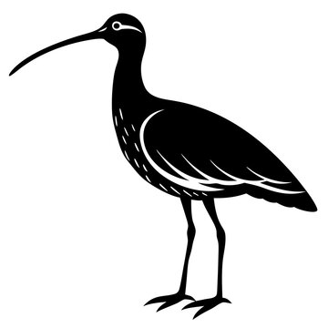 recommend clip art: curlew silhouette vector illustration