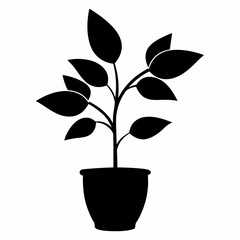 Indoor plant, flower Isolated Flat vector silhouette