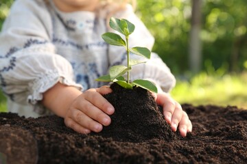 Cute baby girl planting tree outdoors, closeup